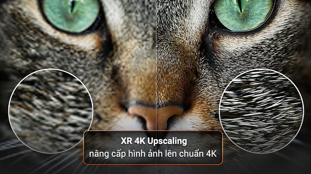 Google Tivi Mini LED Sony 4K 85 inch XR-85X95M ( 85X95M ) 2024