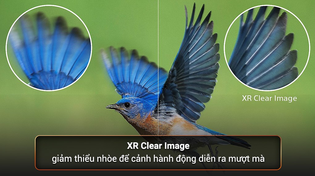 Google Tivi Mini LED Sony 4K 85 inch XR-85X95M ( 85X95M ) 2024