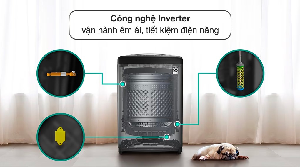 Máy giặt LG AI DD Inverter 19 kg TV2519DV7B Giá rẻ