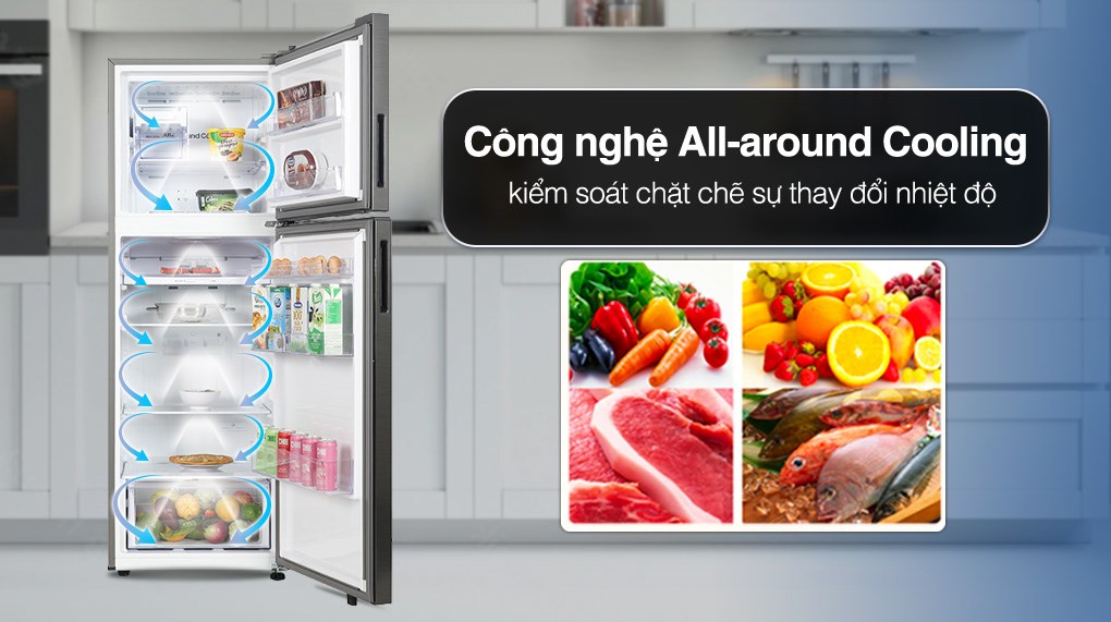 Tủ lạnh Samsung RT31CG5424B1SV Inverter 305 lít