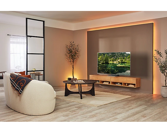 SAMSUNG TV OLED 4K QA65S95B 2022 4K SMART 65 inch 65S95B Chính hãng