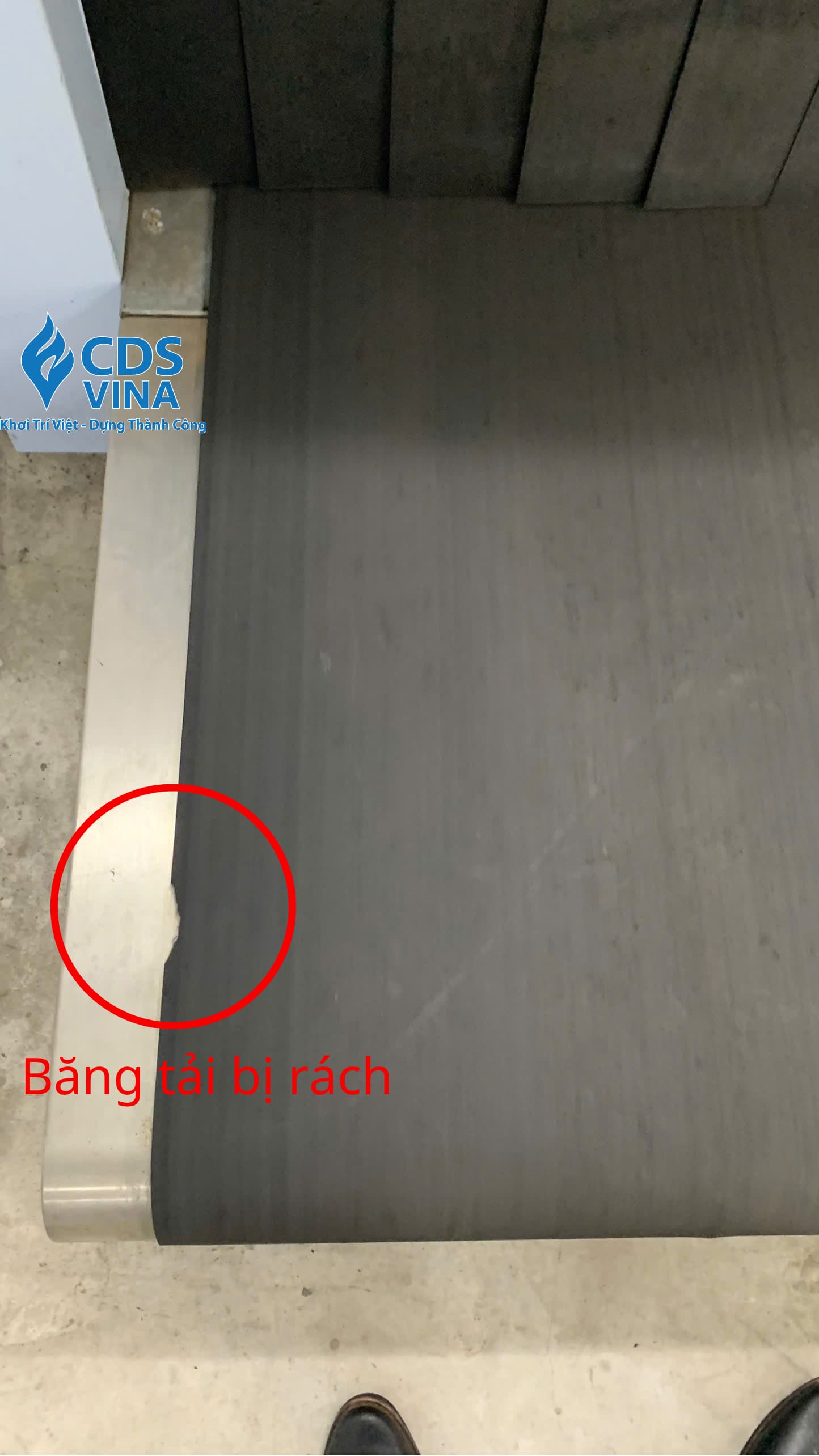Băng tải máy soi X-RAY bị rách