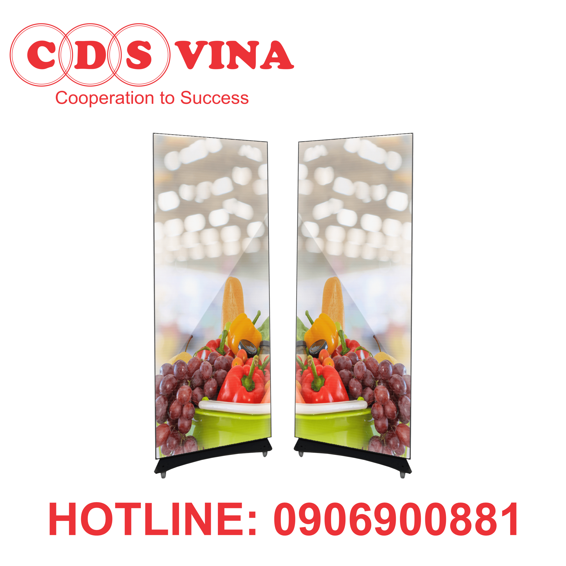 ZKDIGIMAX - Poster Cabinet LED