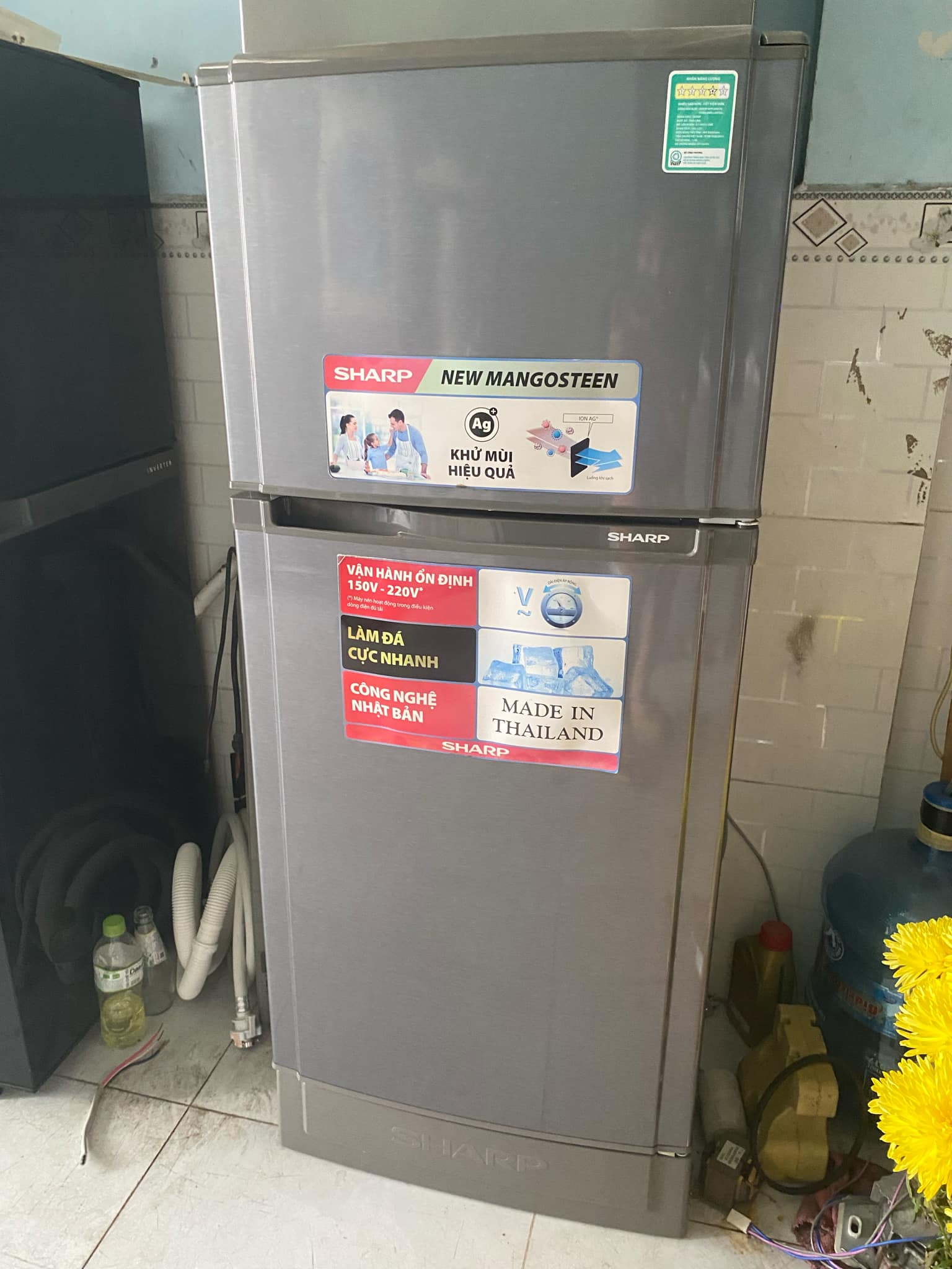 Sửa tủ lạnh tại nhà quận Tân Phú