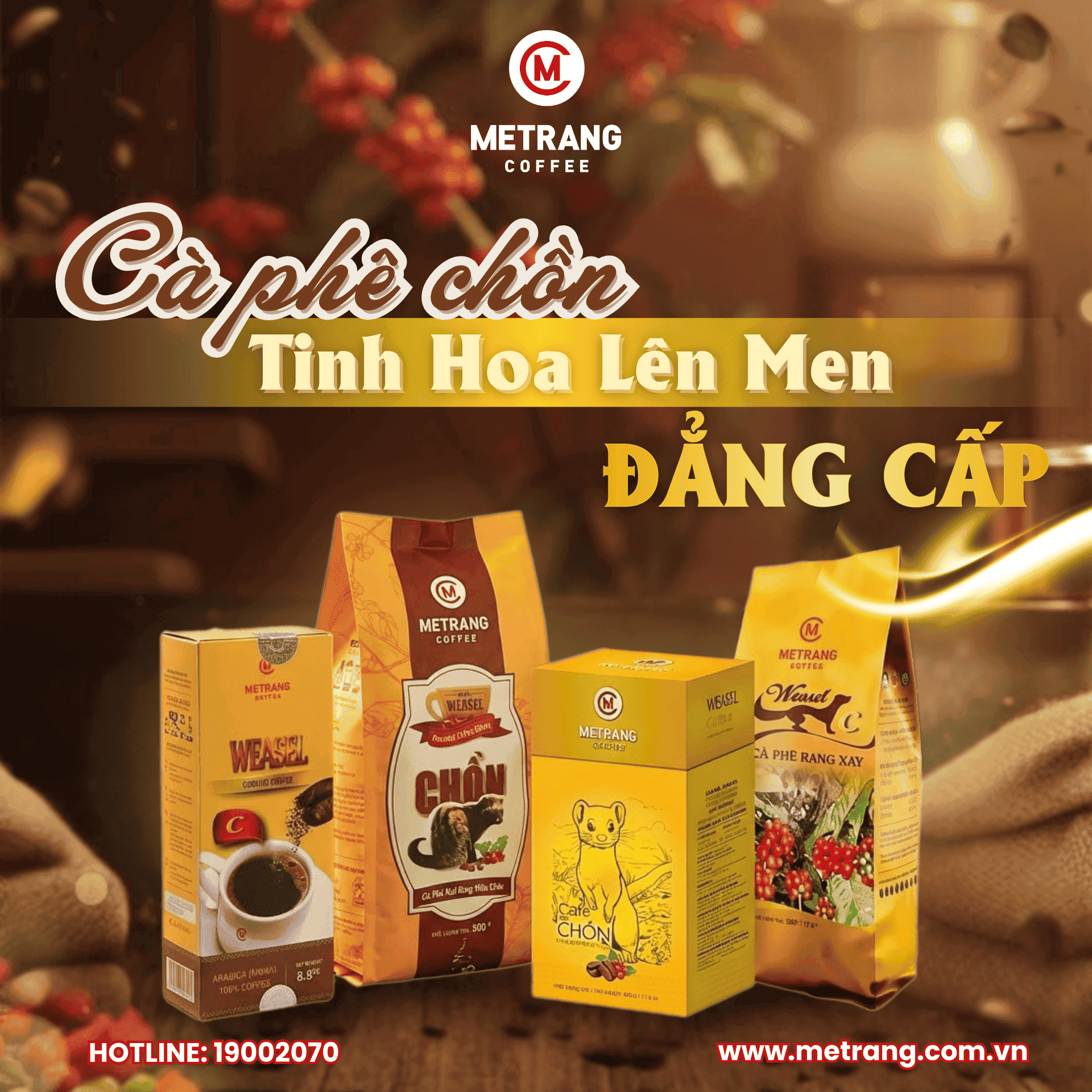 CÀ PHÊ CHỒN MÊ TRANG – TINH HOA LÊN MEN ĐẲNG CẤP