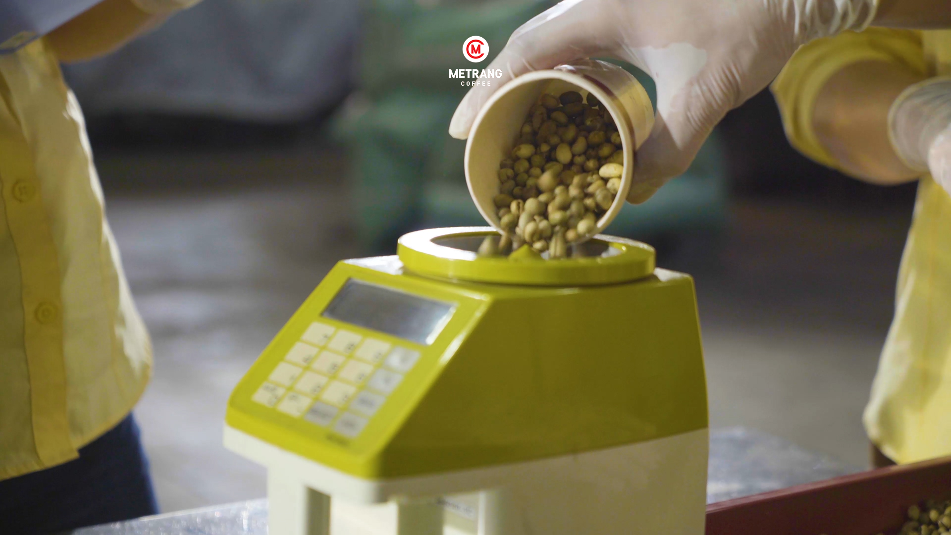 Tự động hóa giúp ngành cà phê đặc sản đạt năng suất cao hơn như thế nào?