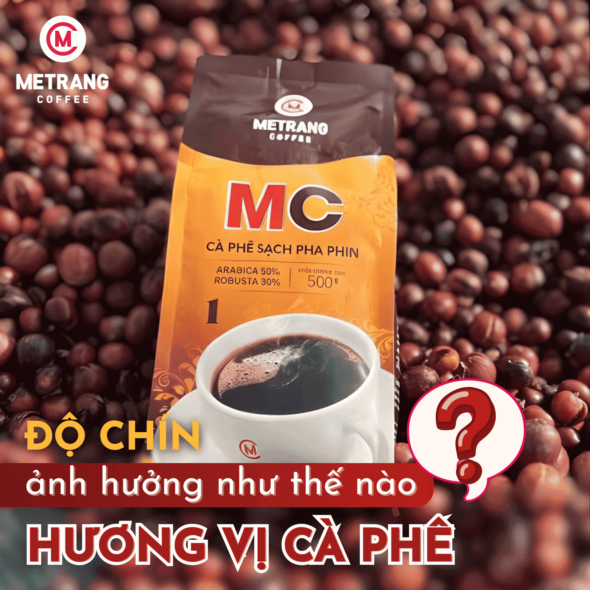 ĐỘ CHÍN ẢNH HƯỞNG NHƯ THẾ NÀO ĐẾN HƯƠNG VỊ CÀ PHÊ