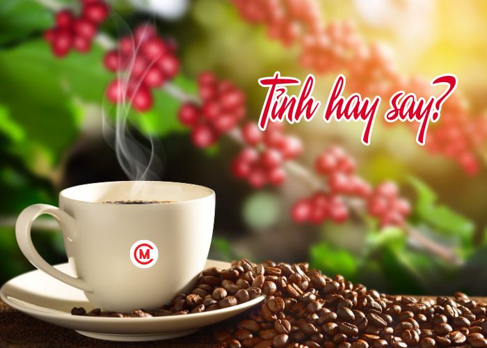 Cà phê – tỉnh hay say?