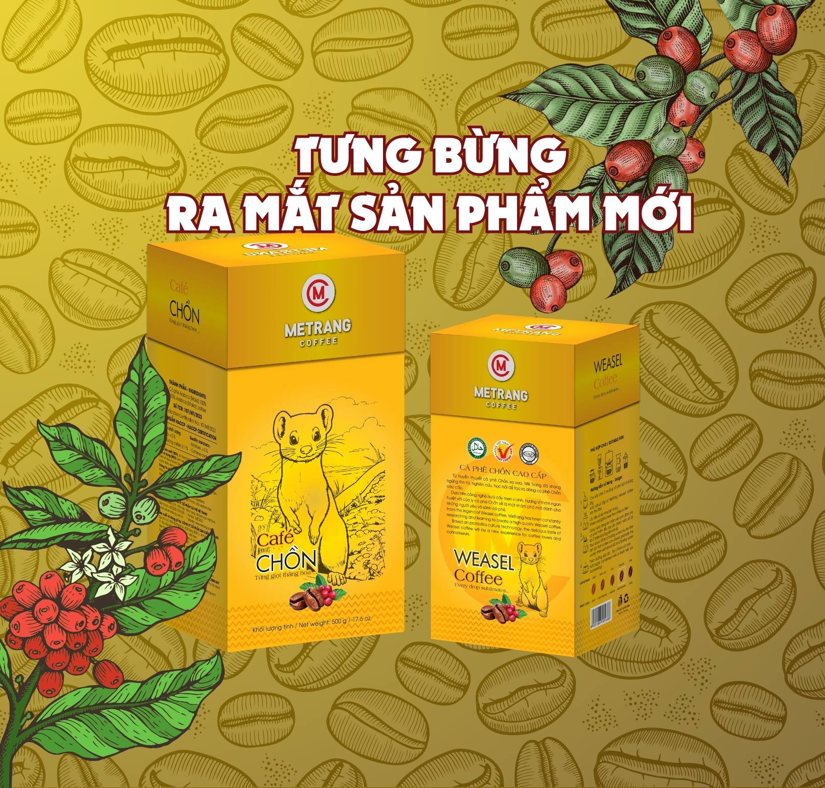 Cà phê chồn Mê Trang - Vị vua cà phê, huyền thoại lên men, trải nghiệm cao cấp, quà tặng ý nghĩa