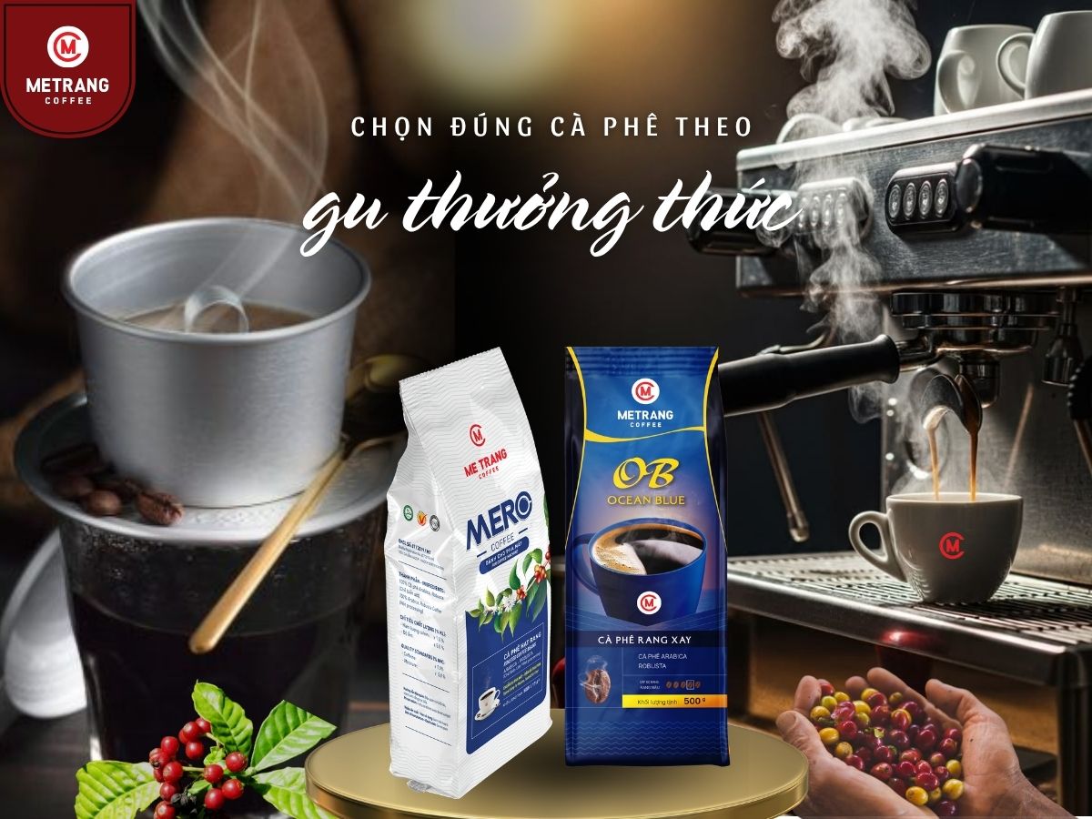 cà phê Mê Trang, cà phê rang xay, cà phê pha phin, cà phê ngon, cà phê bột, cà phê hạt, cà phê pha máy, cà phê bột pha phin, cà phê hạt pha máy, cà phê rang xay Mê Trang, cà phê Ocean Blue Mê Trang, cà phê MC1 Mê Trang, cà phê MERO Mê Trang, cà phê Mê Trang pha phin, cà phê Mê Trang pha máy, mua cà phê, mua cà phê Mê Trang, loại cà phê