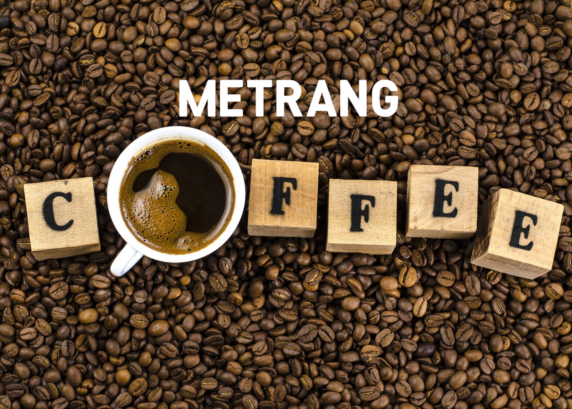 cà phê Việt Nam, cà phê mê trang, cà phê robusta, cà phê arabica, cà phê hạt, cà phê pha máy, cà phê bột, cà phê sạch, cà phê cao cấp, cà phê hòa tan, cà phê hút chân không, cà phê đặc sản, cà phê chế biến ướt, OEM coffee, ODM coffee
