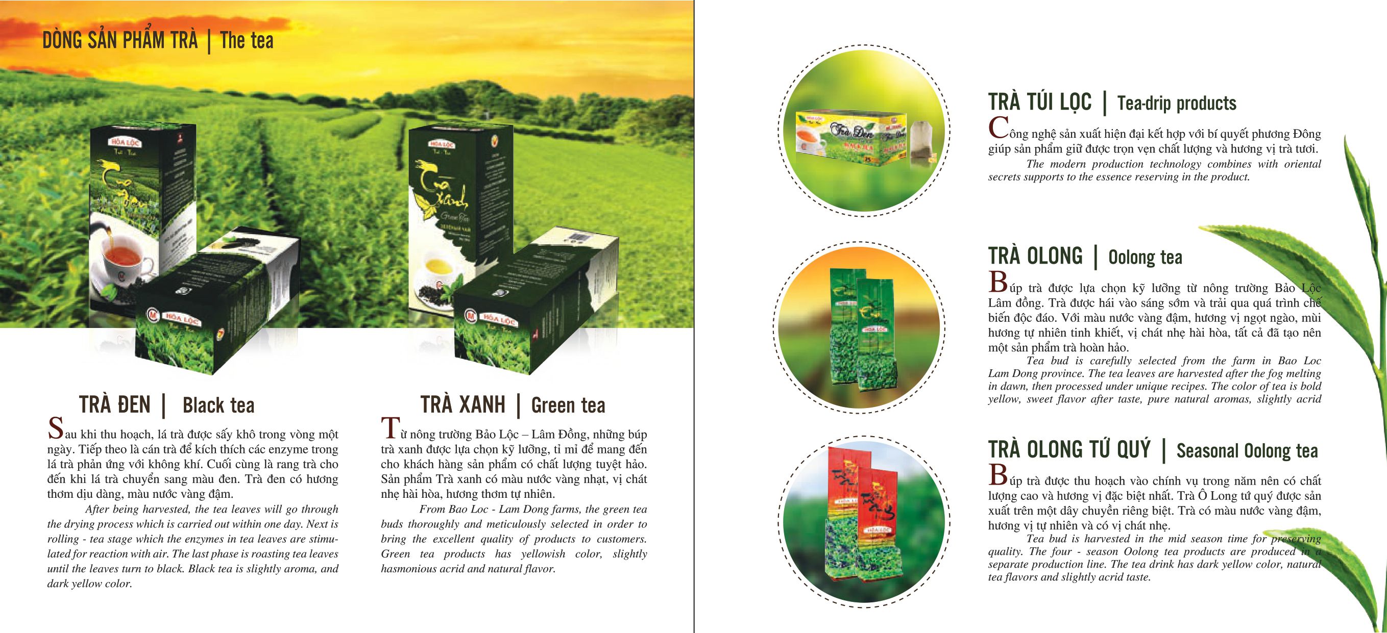 Cà phê Mê Trang; METRANG COFFEE; Metrang Coffee;
cà phê Việt Nam; cà phê mê trang; cà phê robusta; cà phê arabica; cà phê hạt; cà phê pha máy; cà phê bột; cà phê sạch; cà phê cao cấp; cà phê hòa tan; cà phê hút chân không; cà phê đặc sản; cà phê chế biến ướt; OEM coffee; ODM coffee