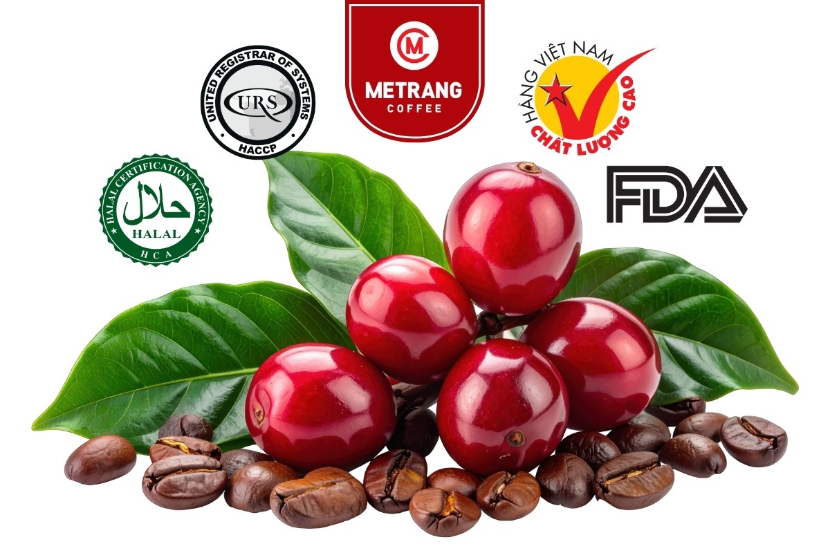 cà phê Việt Nam, cà phê mê trang, cà phê robusta, cà phê arabica, cà phê hạt, cà phê pha máy, cà phê bột, cà phê sạch, cà phê cao cấp, cà phê hòa tan, cà phê hút chân không, cà phê đặc sản, cà phê chế biến ướt, OEM coffee, ODM coffee