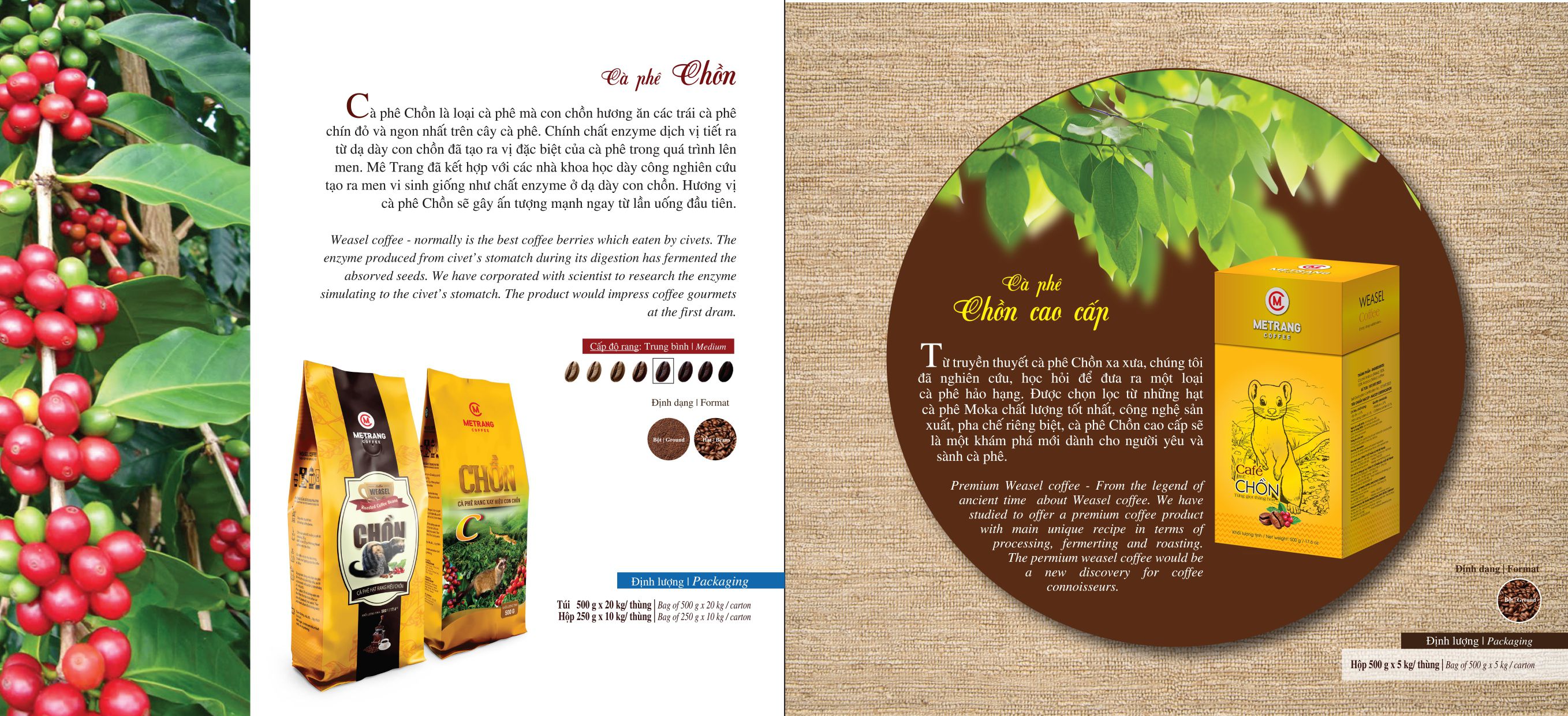 Cà phê Mê Trang; METRANG COFFEE; Metrang Coffee;
cà phê Việt Nam; cà phê mê trang; cà phê robusta; cà phê arabica; cà phê hạt; cà phê pha máy; cà phê bột; cà phê sạch; cà phê cao cấp; cà phê hòa tan; cà phê hút chân không; cà phê đặc sản; cà phê chế biến ướt; OEM coffee; ODM coffee