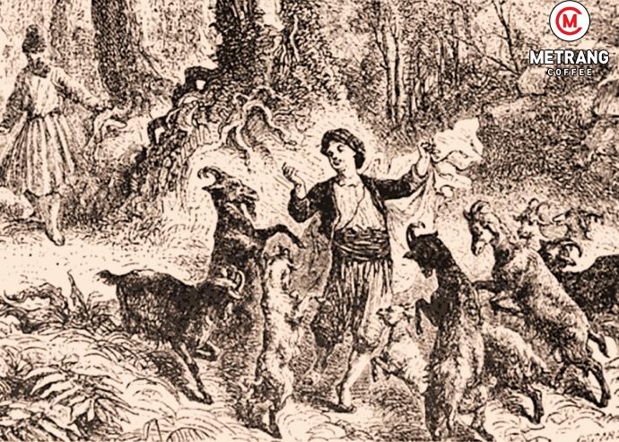 cà phê Việt Nam, cà phê mê trang, cà phê robusta, cà phê arabica, cà phê hạt, cà phê pha máy, cà phê bột, cà phê sạch, cà phê cao cấp, cà phê hòa tan, cà phê hút chân không, cà phê đặc sản, cà phê chế biến ướt, OEM coffee, ODM coffee