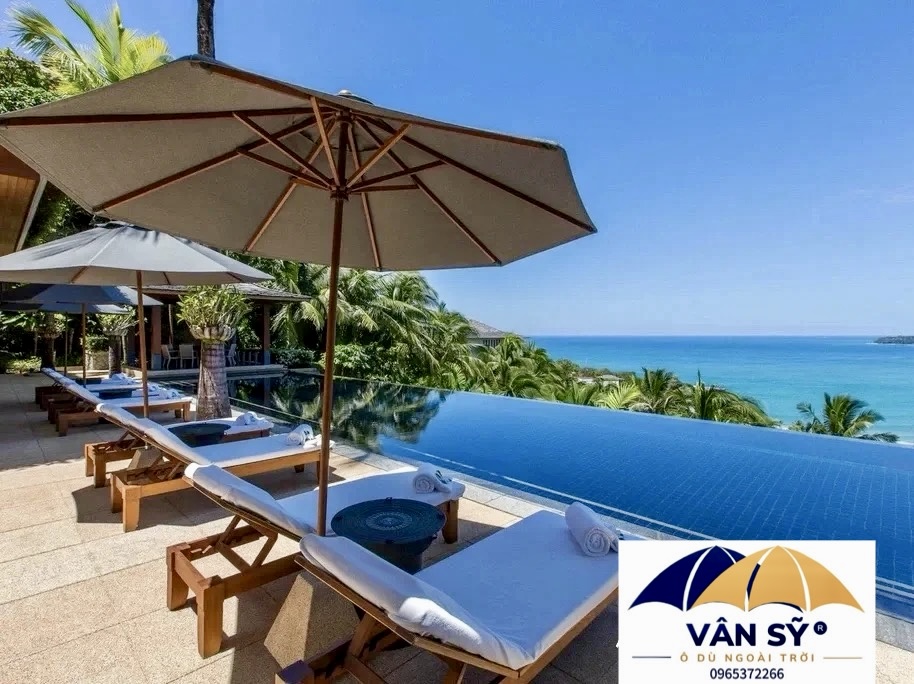 ô chính tâm thân gỗ quảng bình