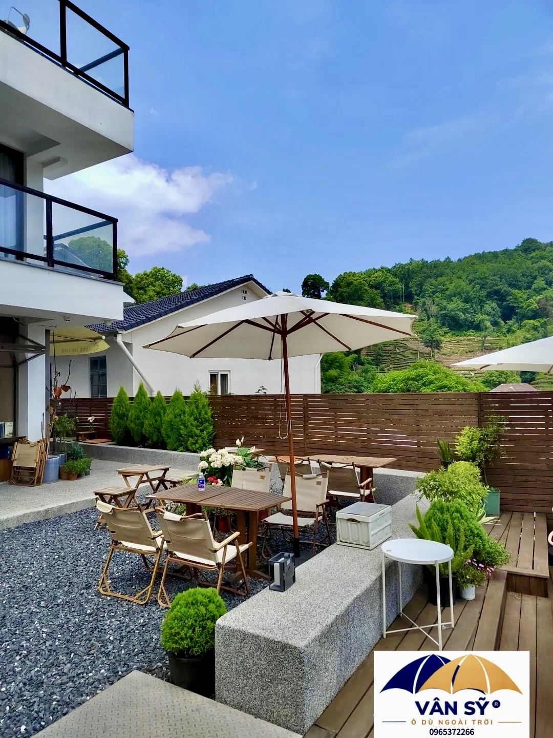 Ô chính tâm thân gỗ nghệ an