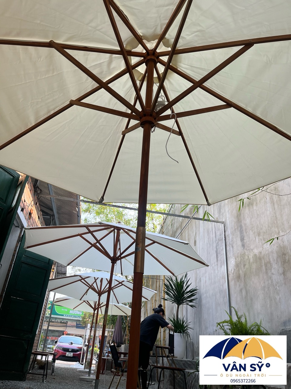 ô dù vân sỹ vinh