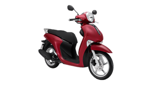 JANUS STD 2024
