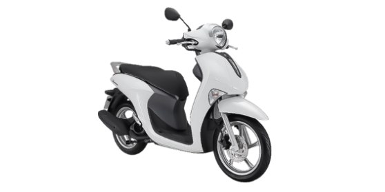JANUS STD 2024