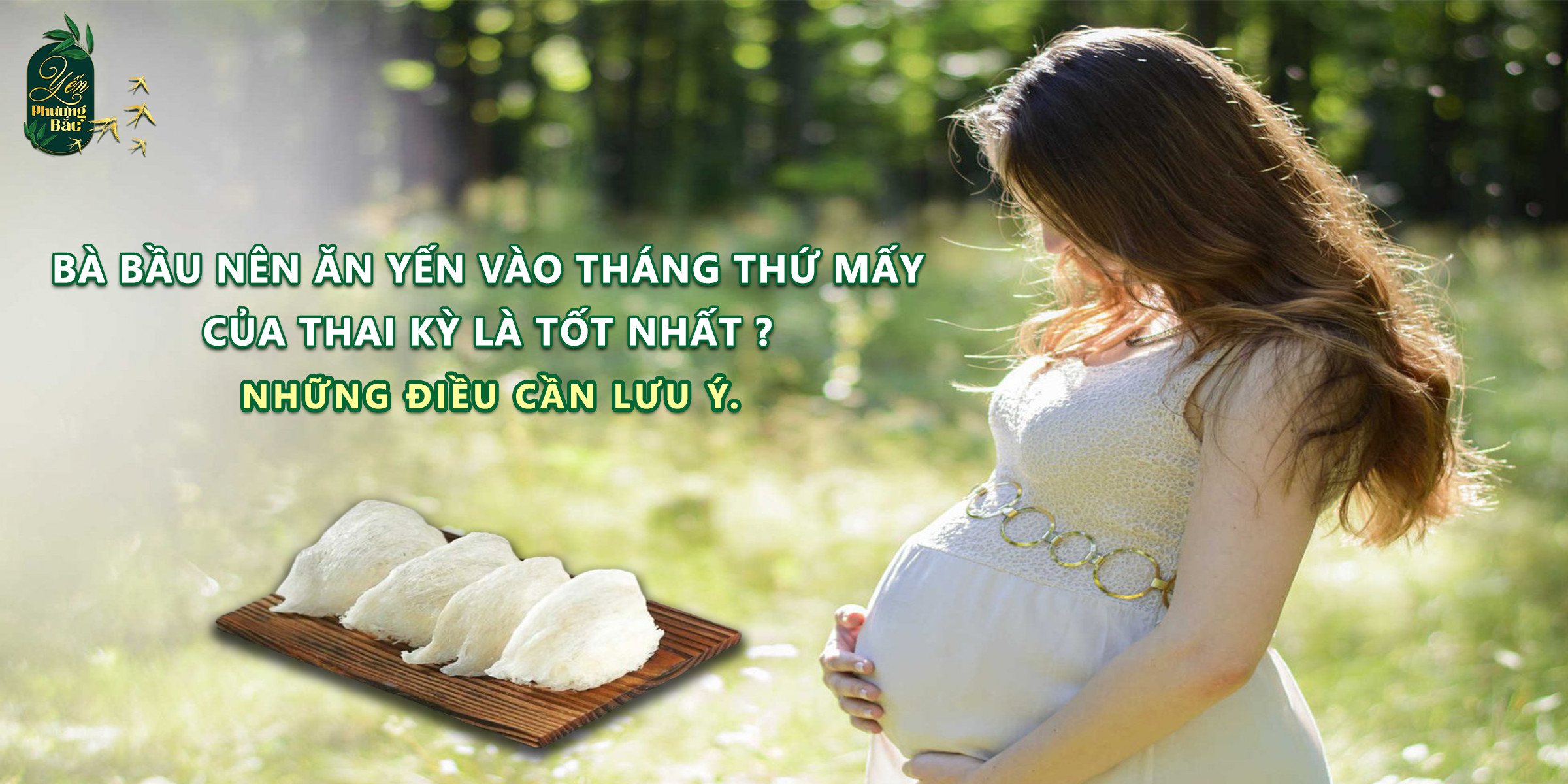 Bà bầu nên ăn yến vào tháng thứ mấy của thai kỳ là tốt nhất ? Những điều cần lưu ý.