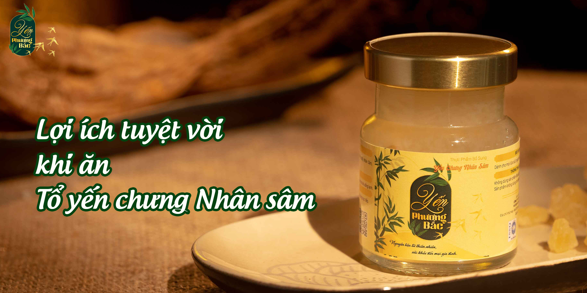 Lợi ích tuyệt vời khi ăn Tổ yến chưng Nhân Sâm