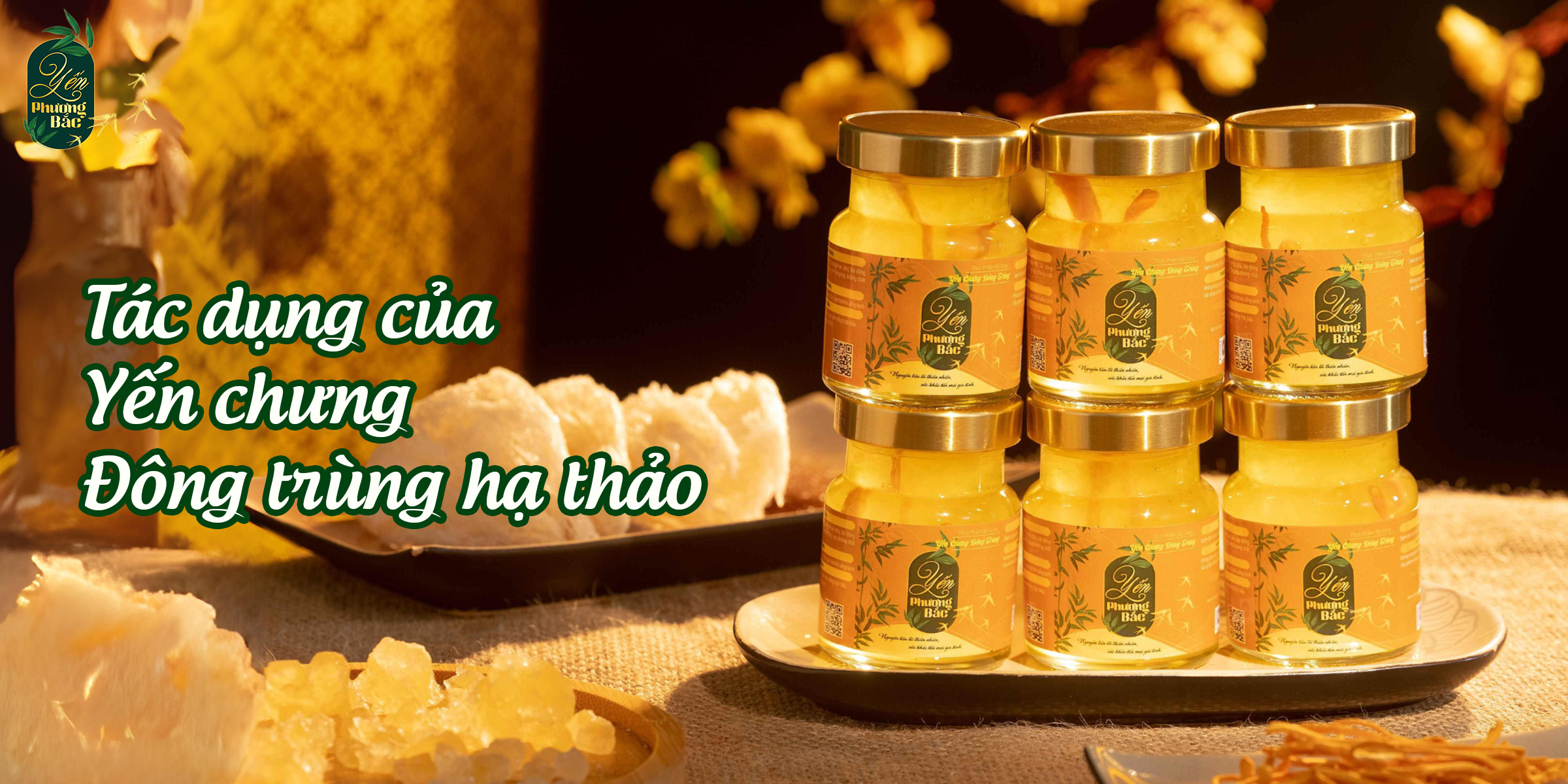 Tác dụng của yến chưng đông trùng hạ thảo.