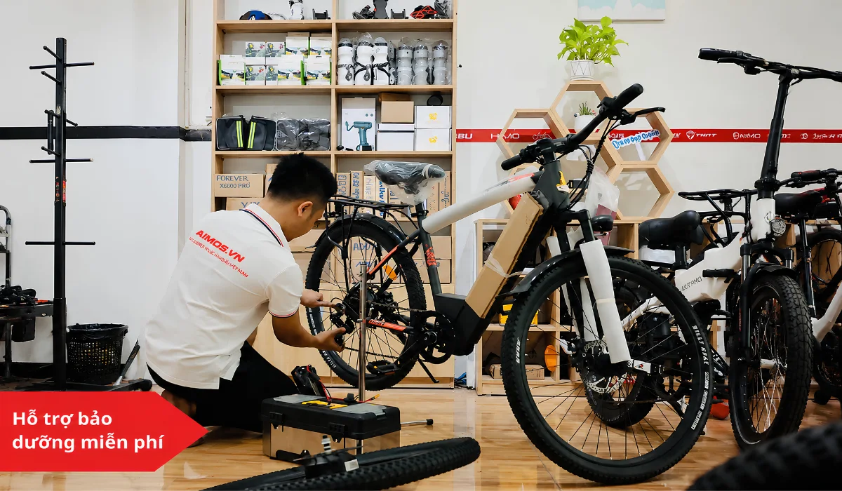 5 tiêu chí bảo dưỡng xe đạp trợ lực điện