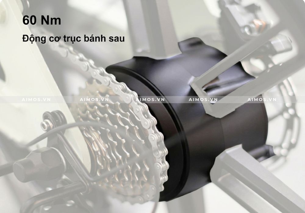 Động cơ 750W bứt tốc 45km/h mạnh mẽ trên xe đạp trợ lực điện OUXI GT20