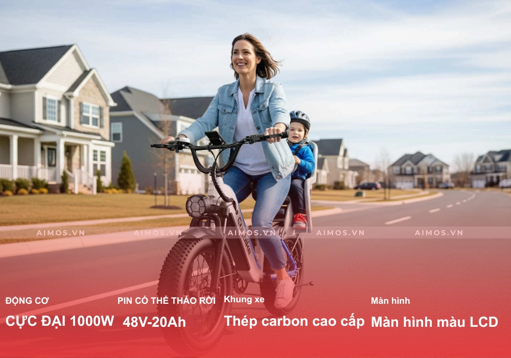 Xe đạp trợ lực điện Euybike C3