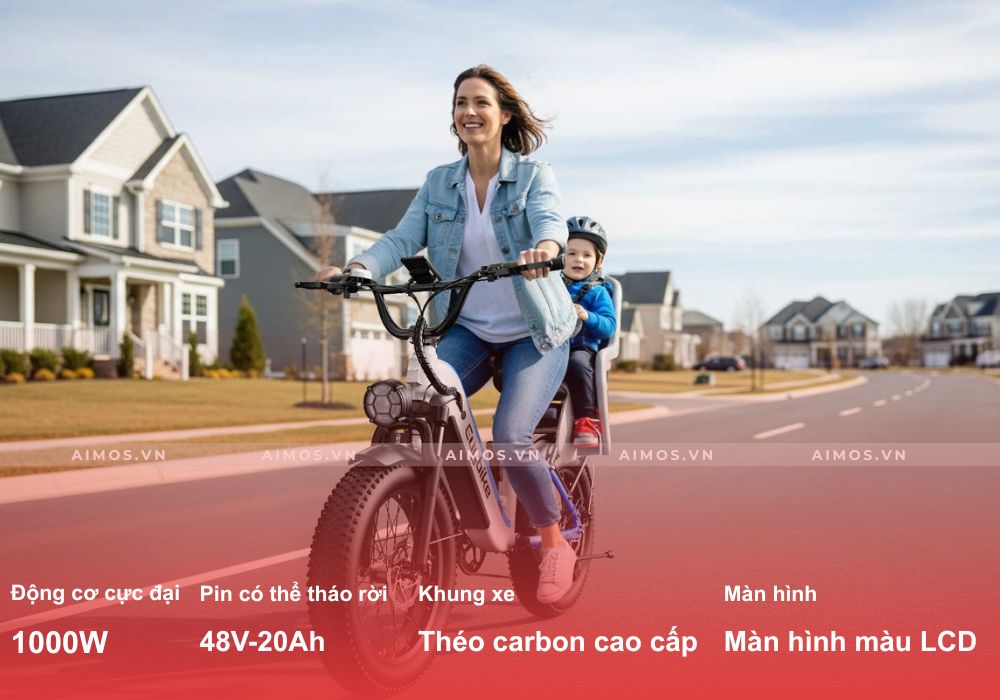 Xe đạp trợ lực điện Euybike C3