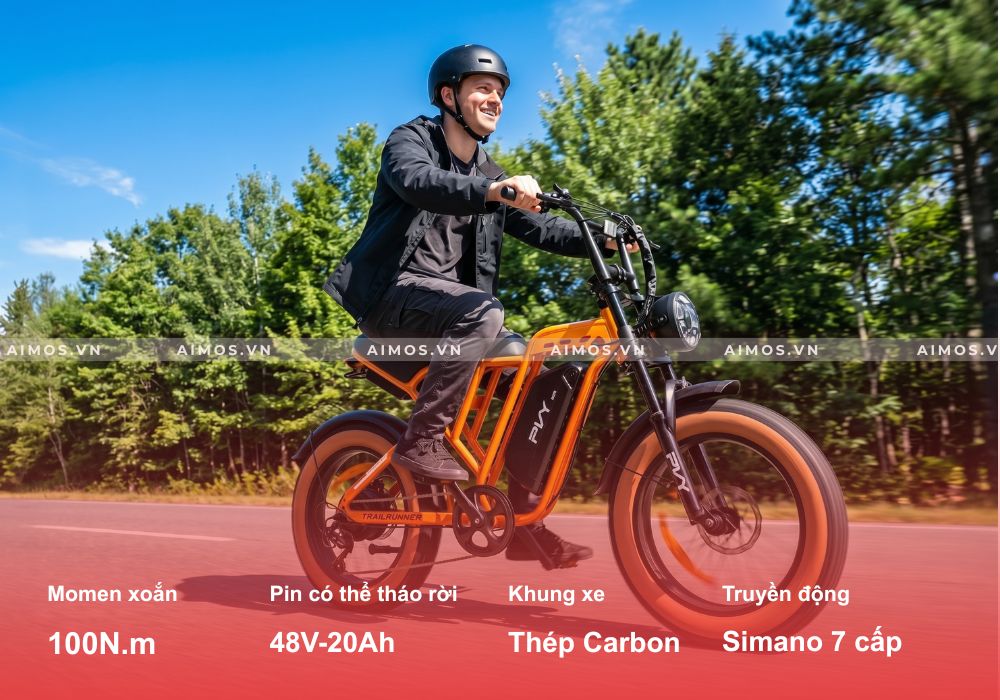 Xe đạp trợ lực điện PVY A20