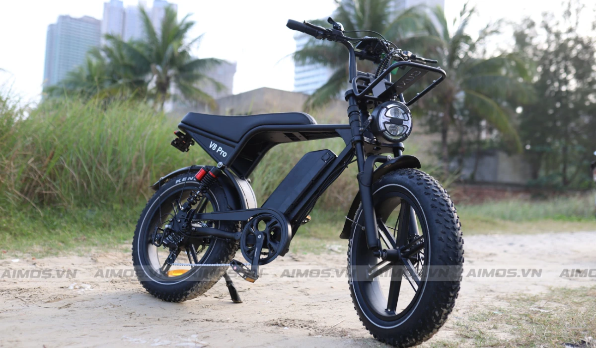 Xe đạp trợ lực điện Ouxi V8 Pro