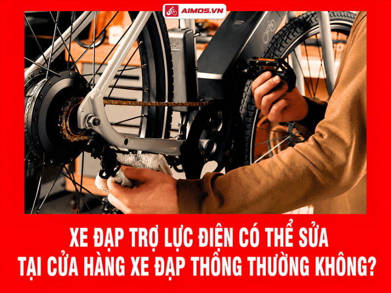 Xe đạp trợ lực điện có thể sửa tại cửa hàng xe đạp thông thường