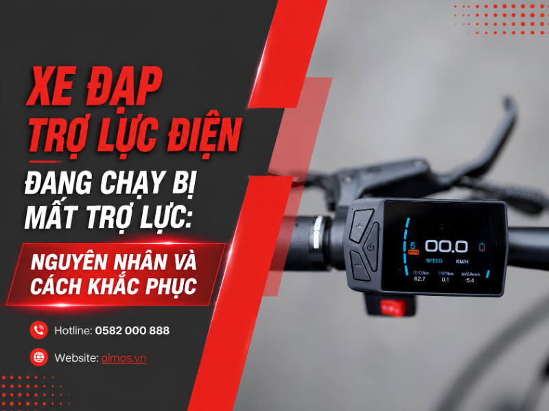 Xe Đạp Trợ Lực Điện Đang Chạy Bị Mất Trợ Lực