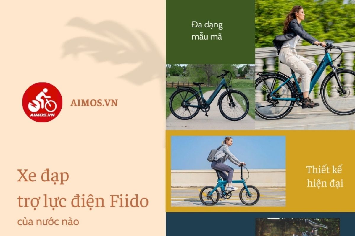 Xe đạp trợ lực điện Fiido của nước nào