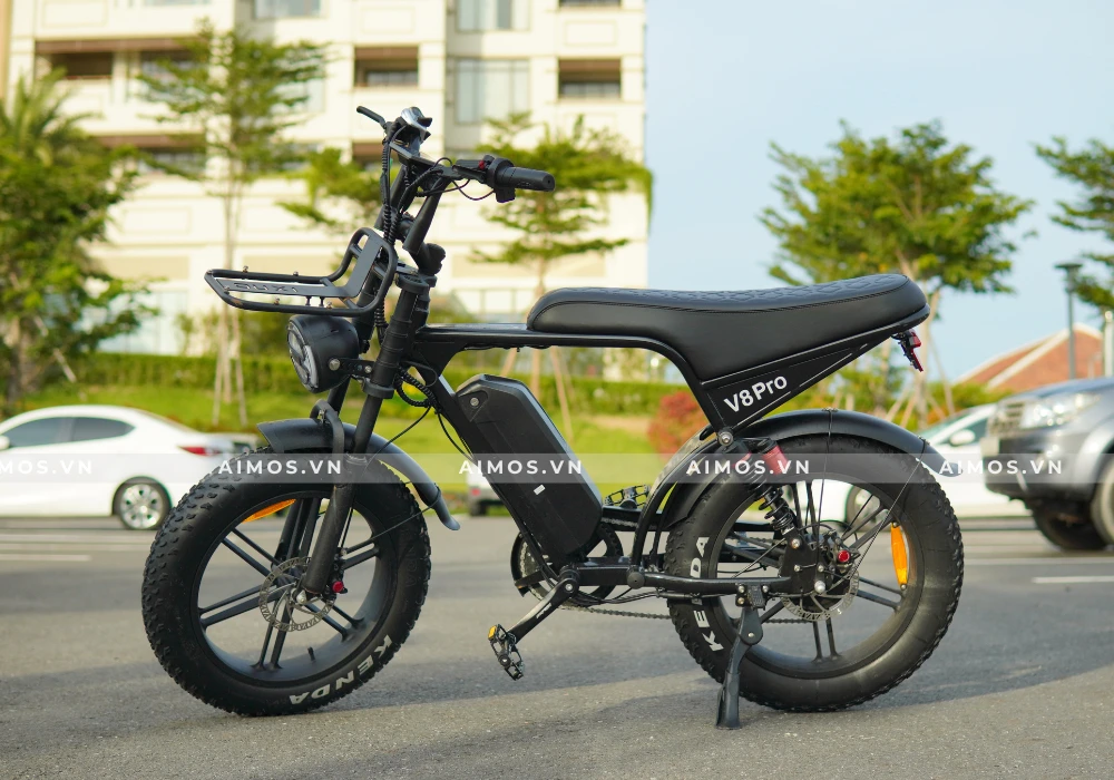Xe đạp trợ lực điện Ouxi V8 Pro
