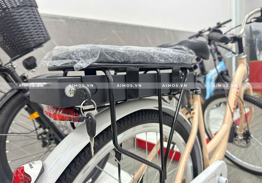 Pin Lithium tháo rời tiện lợi đi xa 80km của xe đạp trợ lực điện RapidX