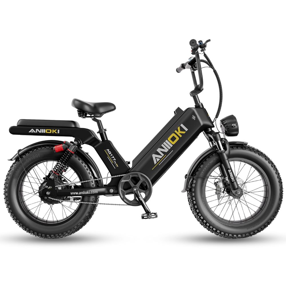 Xe đạp trợ lực điện ANIIOKI AQ177 Pro Max 2025