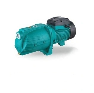 Máy bơm nước đầu lợn Lepono AJm 110L (1.1KW)