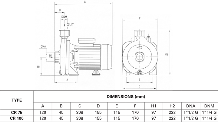 Máy bơm ly tâm Pentax CRT 100 (3 pha - 750W - Italy)
