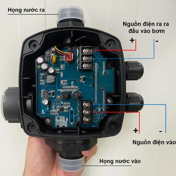 Rơ-le báo cạn điện tử Winde WLa-22