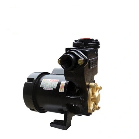 Máy bơm chân không hút đẩy Selton SEL 240BE (240w)