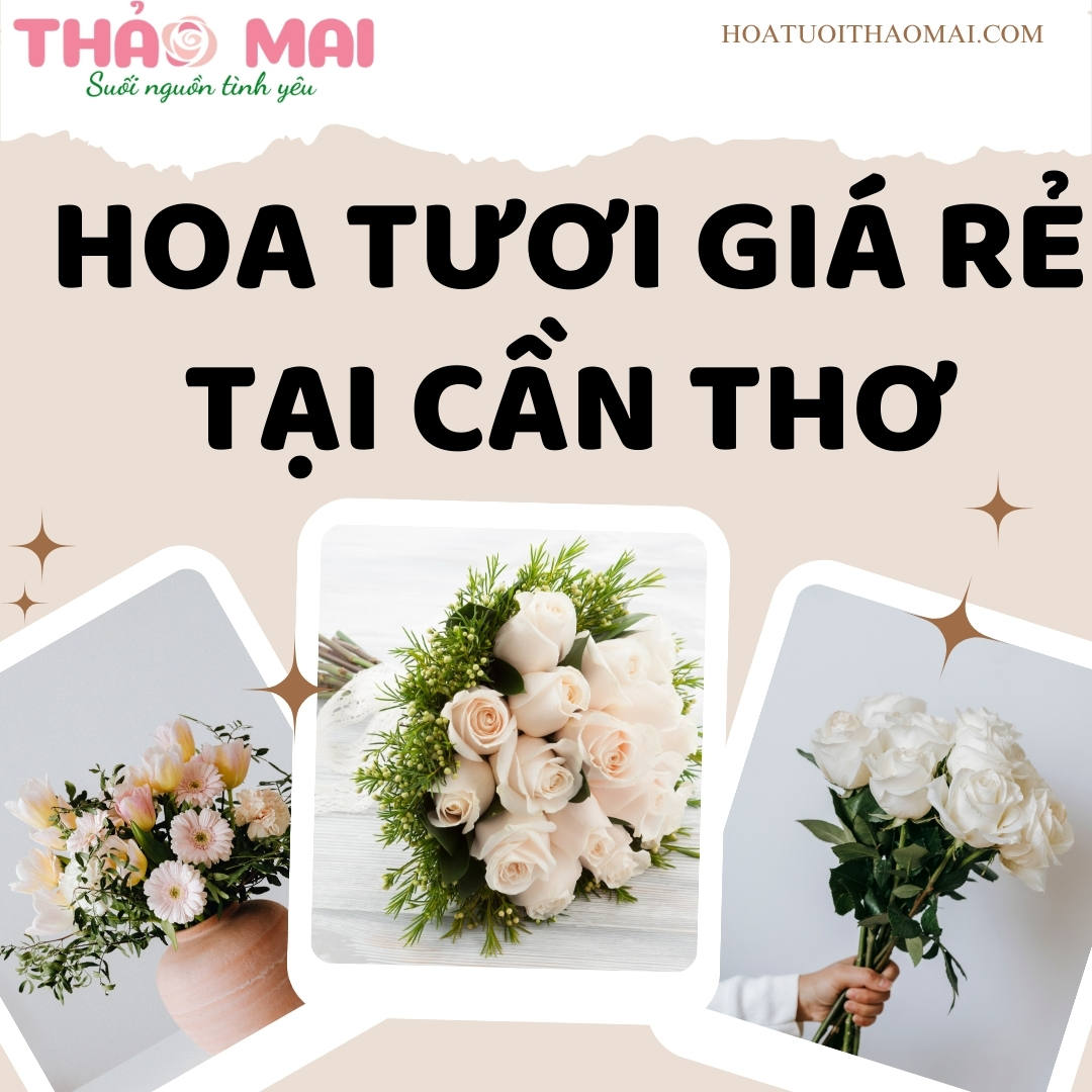 Hoa tươi giá rẻ tại Cần Thơ