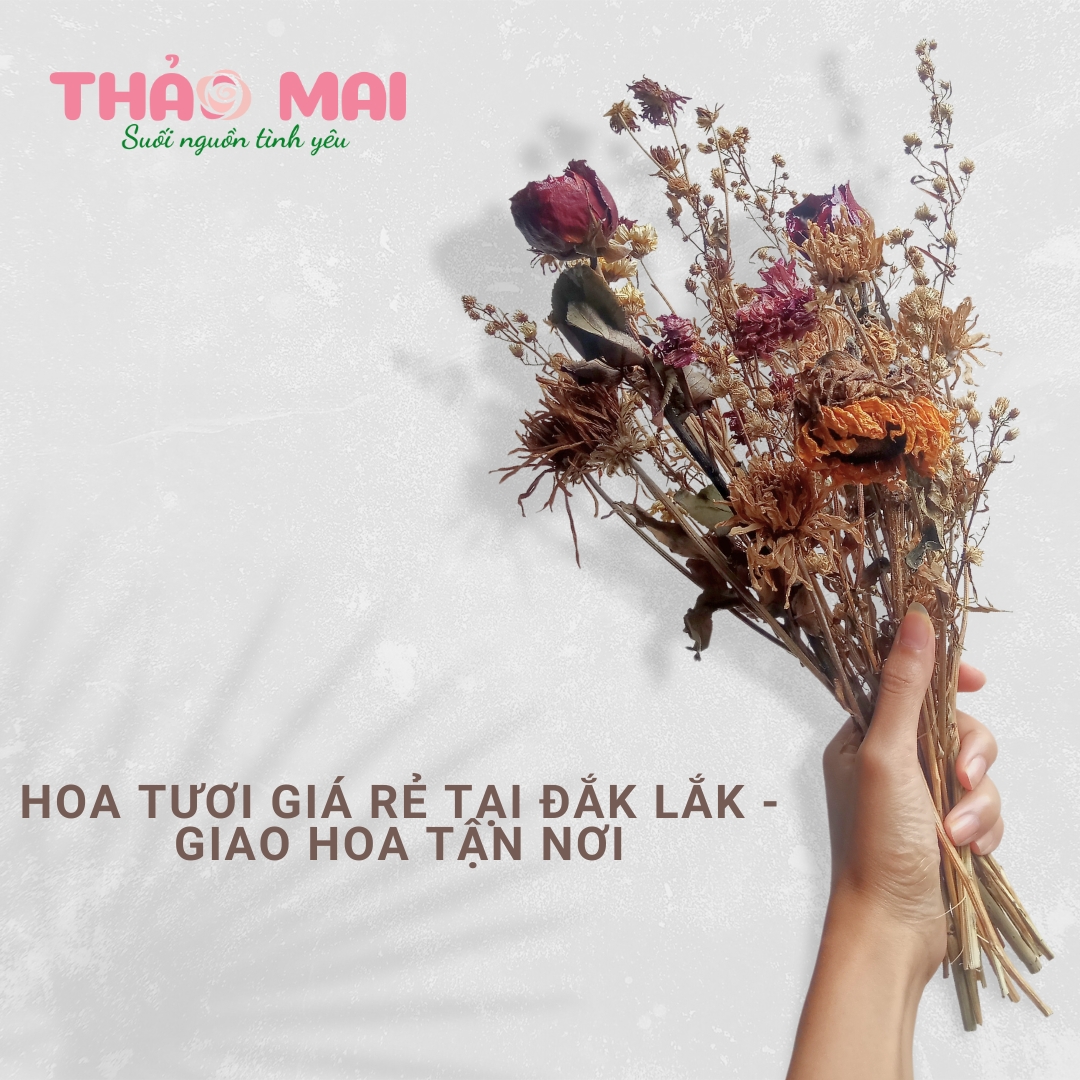Hoa tươi giá rẻ tại Đắk Lắk - Giao hoa tận nơi