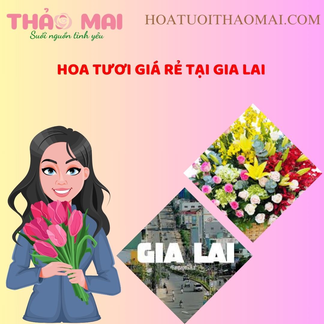 Hoa tươi giá rẻ tại Gia Lai: Giao hoa tận nơi, chất lượng tốt