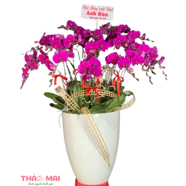 Đặt hoa tươi giao tận nơi tạo TP Ninh Bình- NinhBình