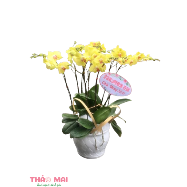 Shop hoa tươi hàng đầu tại Xã Lập Lễ Thủy Nguyên Hải Phòng