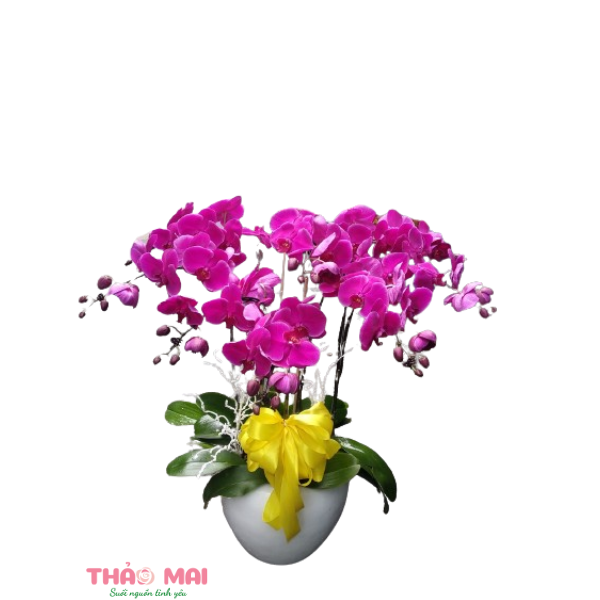 Tìm chỗ mua hoa tươi tại thành phố Tuyên Quang, Tuyên Quang