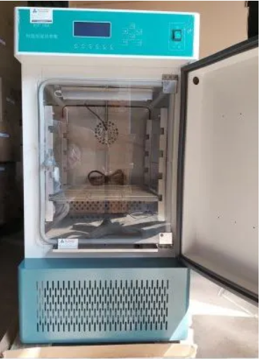 Tủ môi trường 250 Lít HSP-250B